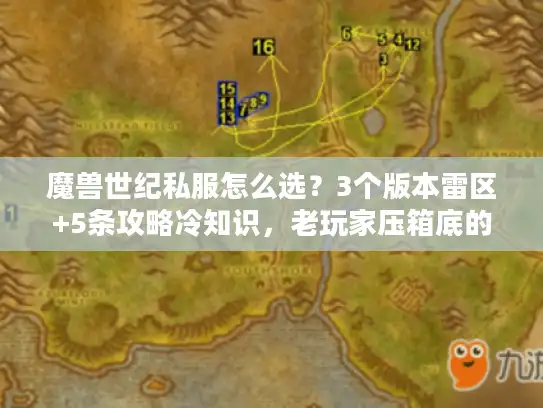 魔兽世纪私服怎么选？3个版本雷区+5条攻略冷知识，老玩家压箱底的经验全说透
