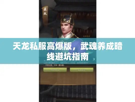 天龙私服高爆版,武魂养成暗线避坑指南 天龙私服高爆版,武魂养成暗线避坑指南