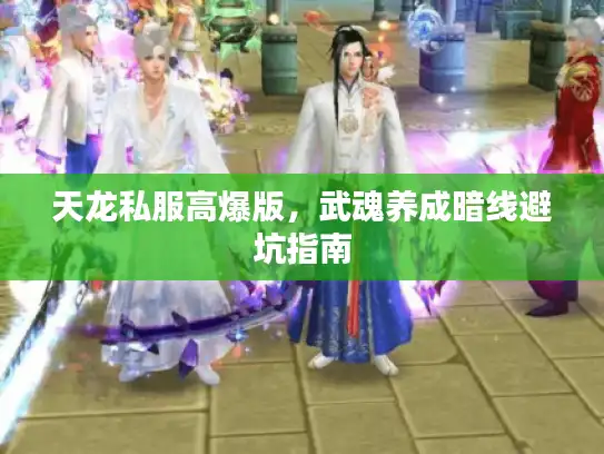 天龙私服高爆版,武魂养成暗线避坑指南 天龙私服高爆版,武魂养成暗线避坑指南