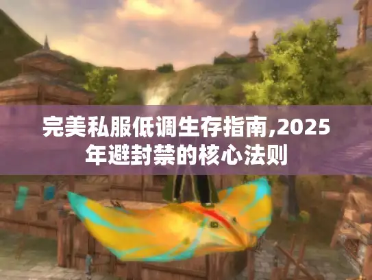 完美私服低调生存指南,2025年避封禁的核心法则