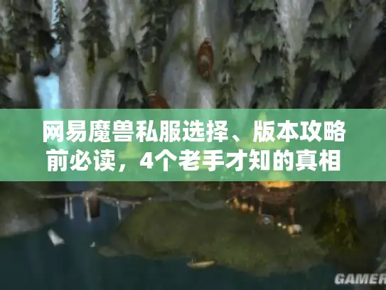 网易魔兽私服选择、版本攻略前必读，4个老手才知的真相