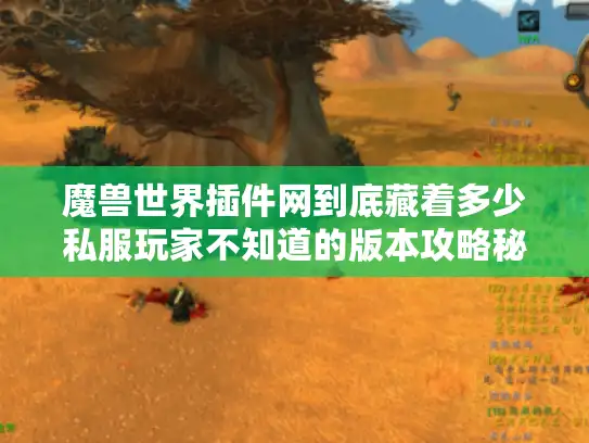 魔兽世界插件网到底藏着多少私服玩家不知道的版本攻略秘密？