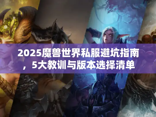 2025魔兽世界私服避坑指南，5大教训与版本选择清单