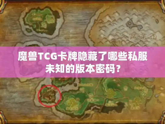 魔兽TCG卡牌隐藏了哪些私服未知的版本密码？