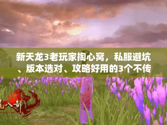 新天龙3老玩家掏心窝，私服避坑、版本选对、攻略好用的3个不传秘诀