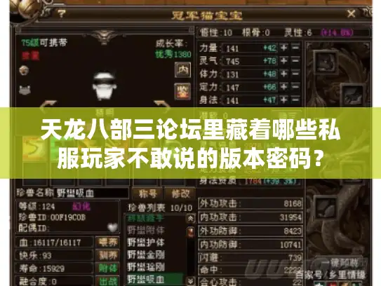 天龙八部三论坛里藏着哪些私服玩家不敢说的版本密码? 天龙八部三论坛里藏着哪些私服玩家不敢说的版本密码?