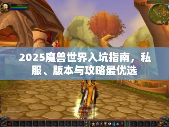 2025魔兽世界入坑指南，私服、版本与攻略最优选