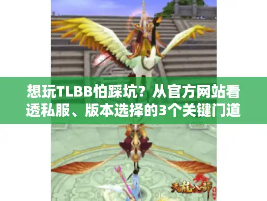 想玩TLBB怕踩坑？从官方网站看透私服、版本选择的3个关键门道