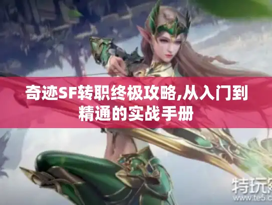 奇迹SF转职终极攻略,从入门到精通的实战手册