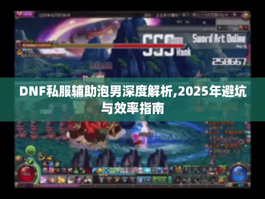 DNF私服辅助泡男深度解析,2025年避坑与效率指南