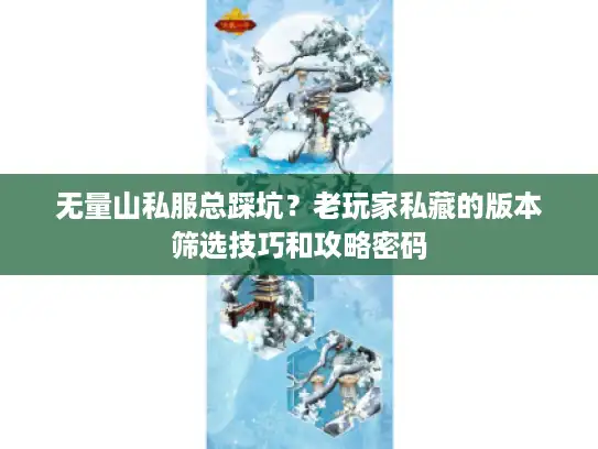 无量山私服总踩坑？老玩家私藏的版本筛选技巧和攻略密码
