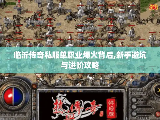 临沂传奇私服单职业爆火背后,新手避坑与进阶攻略