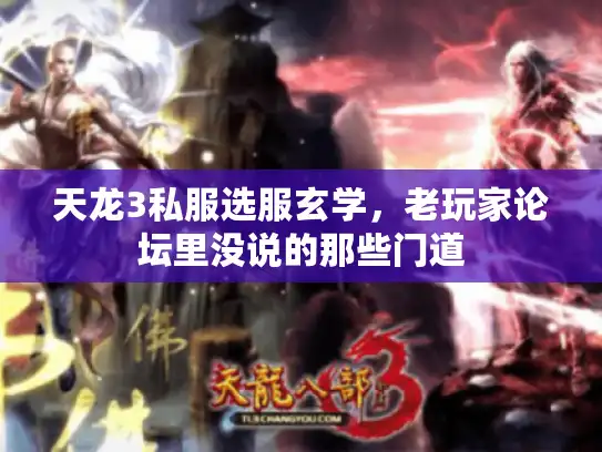天龙3私服选服玄学，老玩家论坛里没说的那些门道