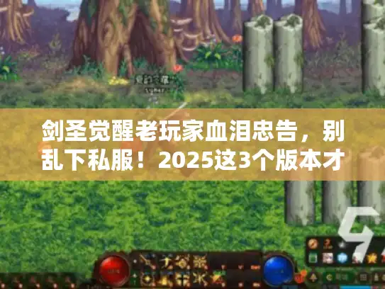 剑圣觉醒老玩家血泪忠告,别乱下私服!2025这3个版本才配你的光剑 剑圣觉醒老玩家血泪忠告,别乱下私服!2025这3个版本才配你的光剑