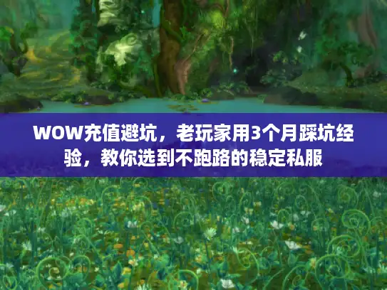 WOW充值避坑，老玩家用3个月踩坑经验，教你选到不跑路的稳定私服