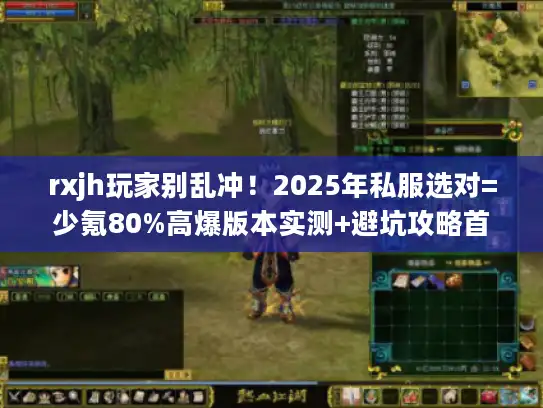 rxjh玩家别乱冲！2025年私服选对=少氪80%高爆版本实测+避坑攻略首发