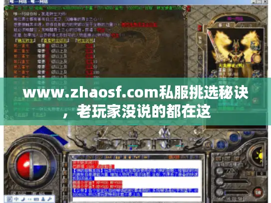 www.zhaosf.com私服挑选秘诀,老玩家没说的都在这 www.zhaosf.com私服挑选秘诀,老玩家没说的都在这