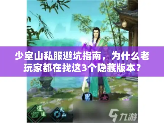 少室山私服避坑指南,为什么老玩家都在找这3个隐藏版本? 少室山私服避坑指南,为什么老玩家都在找这3个隐藏版本?