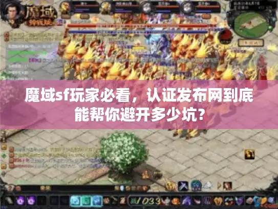 魔域sf玩家必看，认证发布网到底能帮你避开多少坑？