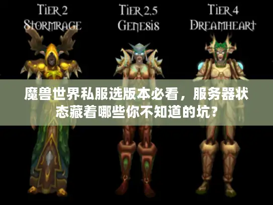魔兽世界私服选版本必看，服务器状态藏着哪些你不知道的坑？