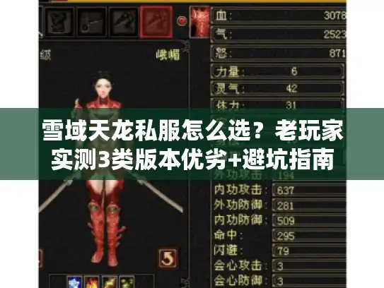 雪域天龙私服怎么选？老玩家实测3类版本优劣+避坑指南
