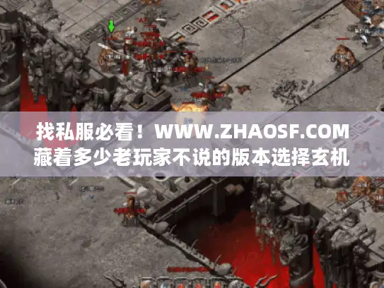 找私服必看！WWW.ZHAOSF.COM藏着多少老玩家不说的版本选择玄机？