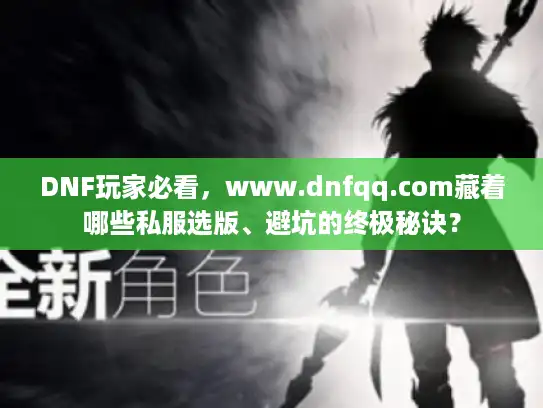 DNF玩家必看，www.dnfqq.com藏着哪些私服选版、避坑的终极秘诀？