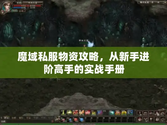 魔域私服物资攻略,从新手进阶高手的实战手册 魔域私服物资攻略,从新手进阶高手的实战手册