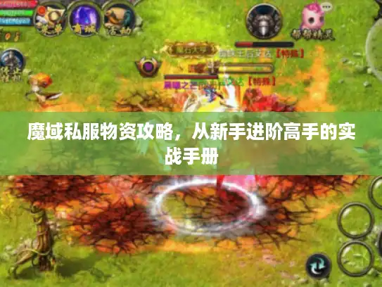 魔域私服物资攻略,从新手进阶高手的实战手册 魔域私服物资攻略,从新手进阶高手的实战手册
