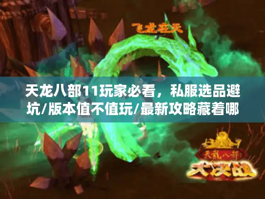 天龙八部11玩家必看,私服选品避坑/版本值不值玩/最新攻略藏着哪些王炸? 天龙八部11玩家必看,私服选品避坑/版本值不值玩/最新攻略藏着哪些王炸?