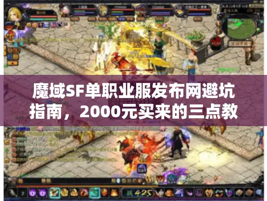 魔域SF单职业服发布网避坑指南，2000元买来的三点教训