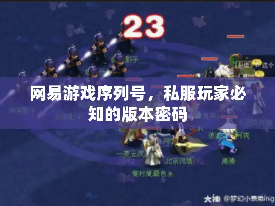 网易游戏序列号，私服玩家必知的版本密码