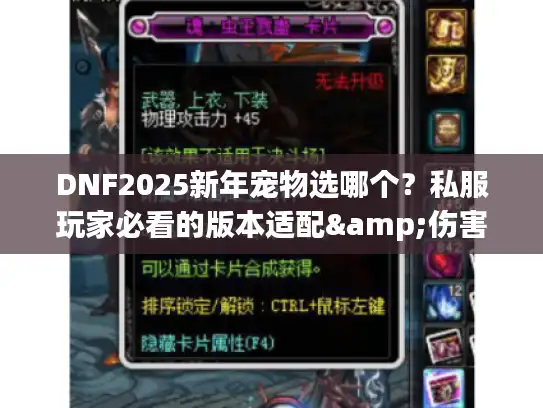 DNF2025新年宠物选哪个？私服玩家必看的版本适配&伤害拉满攻略