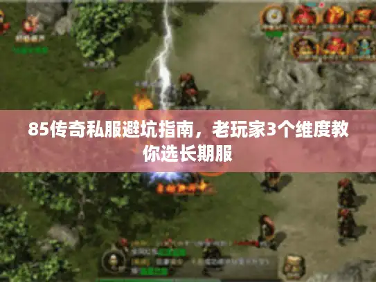 85传奇私服避坑指南，老玩家3个维度教你选长期服