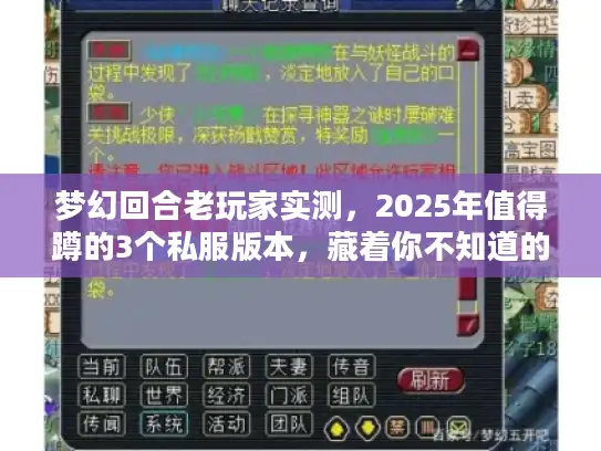 梦幻回合老玩家实测，2025年值得蹲的3个私服版本，藏着你不知道的攻略密码？