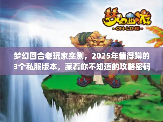 梦幻回合老玩家实测，2025年值得蹲的3个私服版本，藏着你不知道的攻略密码？