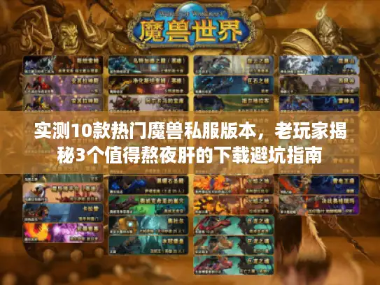 实测10款热门魔兽私服版本，老玩家揭秘3个值得熬夜肝的下载避坑指南