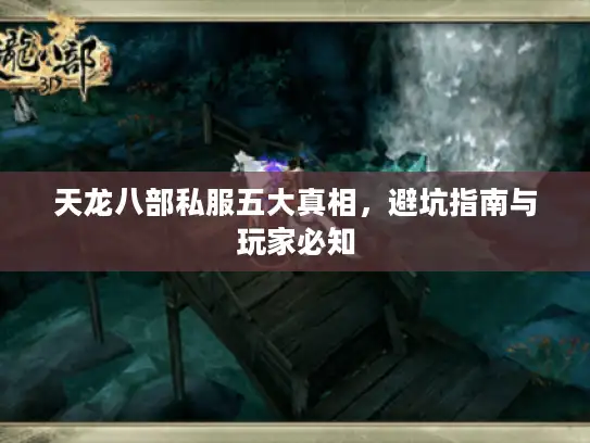 天龙八部私服五大真相，避坑指南与玩家必知