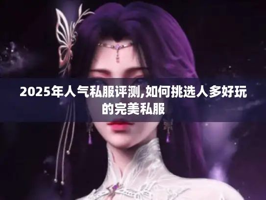 2025年人气私服评测,如何挑选人多好玩的完美私服 2025年人气私服评测,如何挑选人多好玩的完美私服