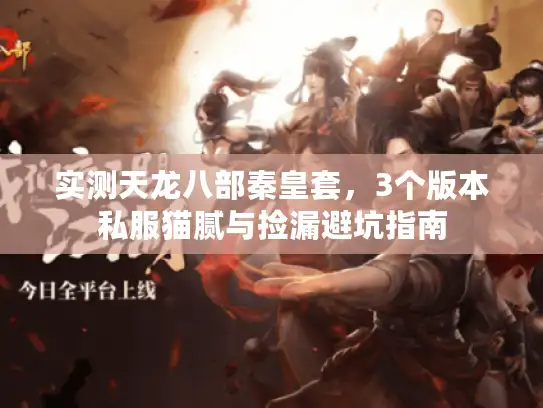 实测天龙八部秦皇套，3个版本私服猫腻与捡漏避坑指南