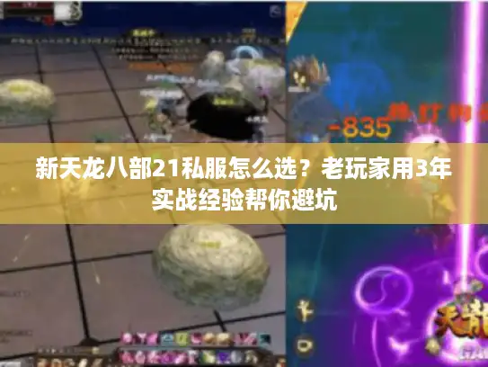 新天龙八部21私服怎么选?老玩家用3年实战经验帮你避坑 新天龙八部21私服怎么选?老玩家用3年实战经验帮你避坑