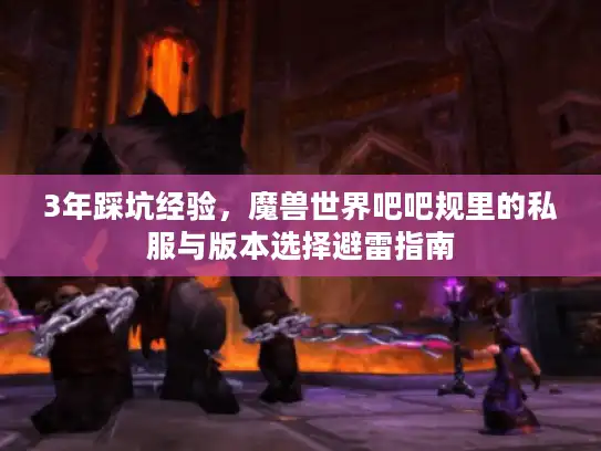 3年踩坑经验，魔兽世界吧吧规里的私服与版本选择避雷指南