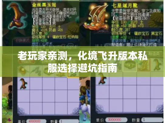 老玩家亲测，化境飞升版本私服选择避坑指南