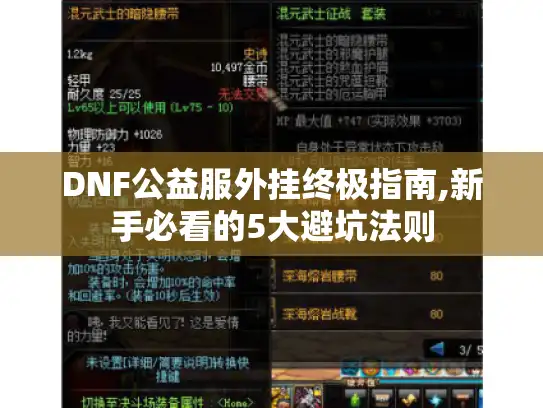 DNF公益服外挂终极指南,新手必看的5大避坑法则
