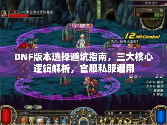 DNF版本选择避坑指南，三大核心逻辑解析，官服私服通用