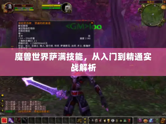 魔兽世界萨满技能，从入门到精通实战解析