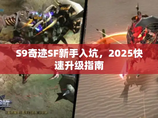 S9奇迹SF新手入坑，2025快速升级指南
