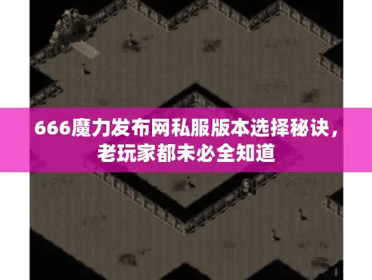 666魔力发布网私服版本选择秘诀，老玩家都未必全知道