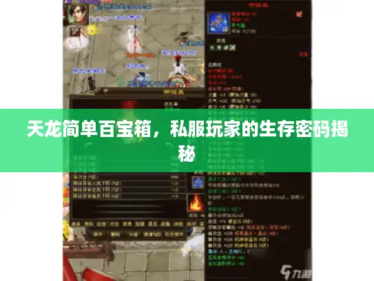 天龙简单百宝箱，私服玩家的生存密码揭秘