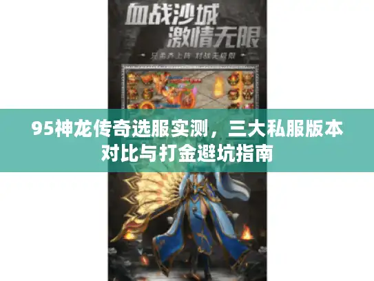 95神龙传奇选服实测，三大私服版本对比与打金避坑指南